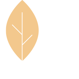 amenities–bench Parking